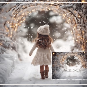 Winter snow arch digital backdrop, holiday lights, snow path, winter digital backdrop, winter arch, creative composite backdrop, photoshop