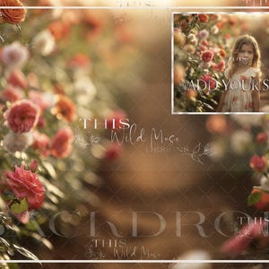 Rose flower path Digital backdrop, roses, flower garden, garden path digital background, rose garden path digital, summer roses digital