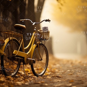 Fall Bicycle Path digital background, fall, autumn path, nature path digital backdrop, fall leaves, fall path, kitten, basket, fall tones