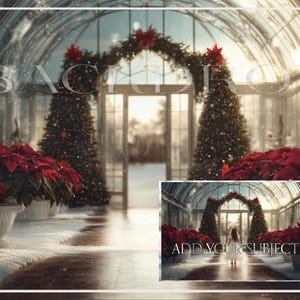 Weihnachten digitaler Hintergrund, Urlaub digitaler Hintergrund, Weihnachtsstern-Gewächshaus, Urlaub Verbundstoff, kreativer Verbundstoff, Weihnachtsgewächshaus