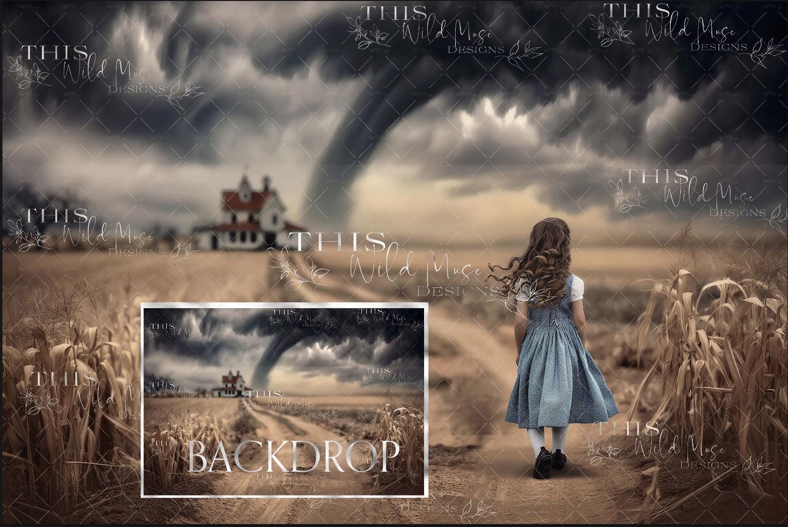 Fondo digital del Mago de Oz, tornado de Kansas, fondo digital del Mago de  Oz, maizal, tornado, cielo tormentoso, granja de Kansas, camino rural -  Etsy México, image size:1624x1086