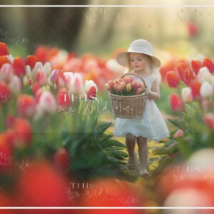 Tulip Field digital background, tulip flowers, spring flower field, spring digital backdrop, spring composite, photoshop overlay, photoshop