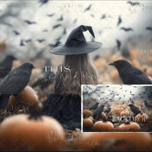 May include: A young witch wearing a black hat and dress stands in a field of pumpkins and crows. The background is a blurry image of a forest with crows flying overhead. The text "BACKDROP" is visible in the lower right corner of the image.