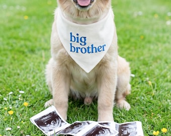 Personalisierte Big Brother Hundehalstuch bestickt - Hund Schwangerschaftansage - Hund Baby offenbaren Ideen