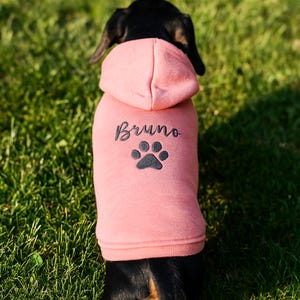 May include: A pink dog hoodie with the name "Bruno" in script and a paw print design. The hoodie is made of a soft material and has a hood. The dog is black and brown, standing on green grass.