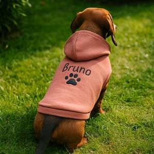 This is a Mauvelous dog hoodie with personalized embroidery:
On the back of the hoodie is the name "Bruno" with a black paw print.
