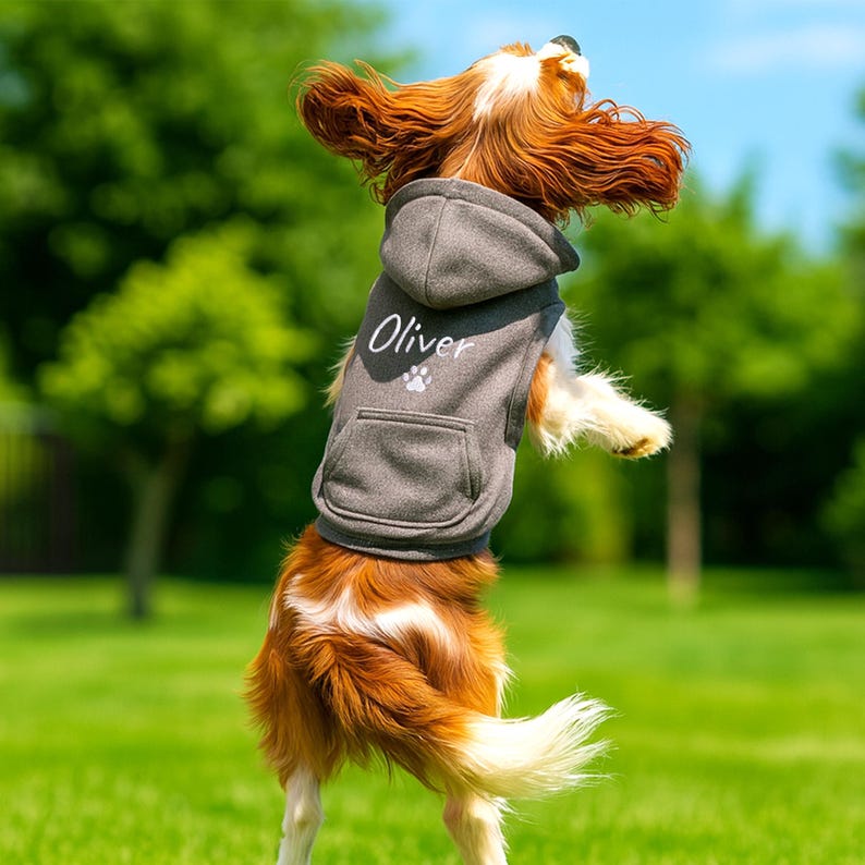 Granite Heather Personalized Dog Hoodie — adorable granite heather hoodie for dogs, featuring the name “Oliver” and a paw print embroidered in white thread.