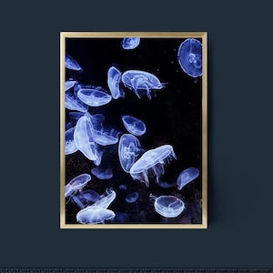 Poster corridoio blu immagine stampa bagno immagine subacquea medusa decorazione murale camera da letto blu murale soggiorno decorazione studio fotografia