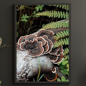 Fotografia di funghi, piante, poster, regalo per gli amanti della natura, fotografia artistica di felce marrone verde, stampa artistica botanica, arte murale naturalistica