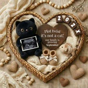 Puede incluir: Una cesta de mimbre en forma de corazón contiene un gato de peluche negro que sostiene una imagen de ultrasonido. Un corazón de madera con el texto "Plot twist it's not a cat!" y "our family is growing September" está presente. También se incluyen pequeños corazones de punto y zapatos de bebé.