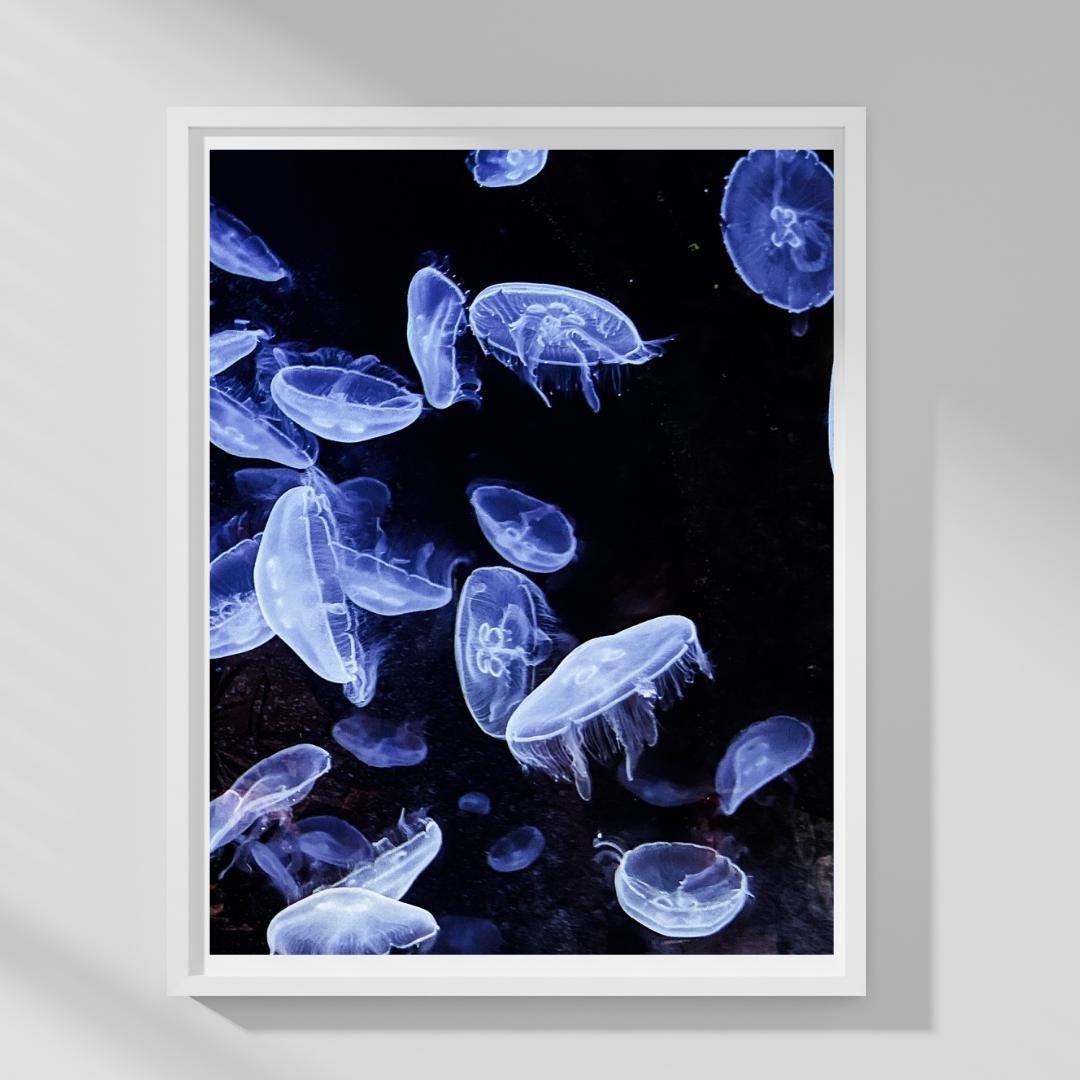 Jellyfish Underwater Photography Digital, Wall Art for Home, Office, Bathroom Blue Decor Ocean, Calm Art, Bedroom Poster Sea Animal, Marine
