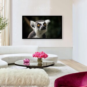 Samsung Frame TV Art Lemur Photo DIGITAL DOWNLOAD image 2