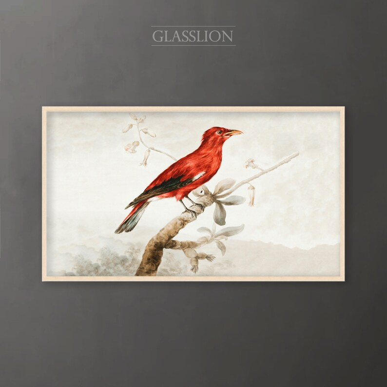 Samsung Frame TV Art Vintage Red Bird DIGITAL DOWNLOAD image 5