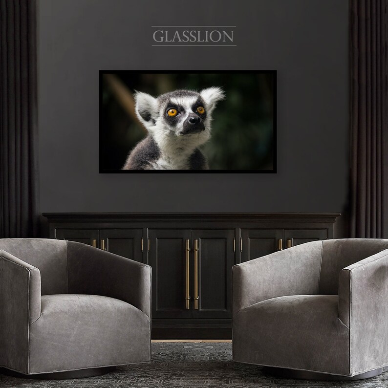 Samsung Frame TV Art Lemur Photo DIGITAL DOWNLOAD image 4