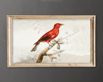 Samsung Frame TV Art | Vintage Red Bird | DIGITAL DOWNLOAD