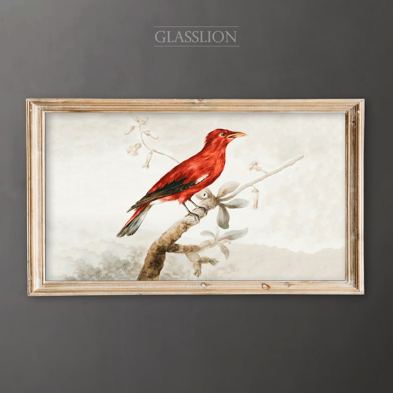 Samsung Frame TV Art Vintage Red Bird DIGITAL DOWNLOAD image 1