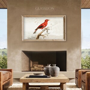 Samsung Frame TV Art Vintage Red Bird DIGITAL DOWNLOAD image 7