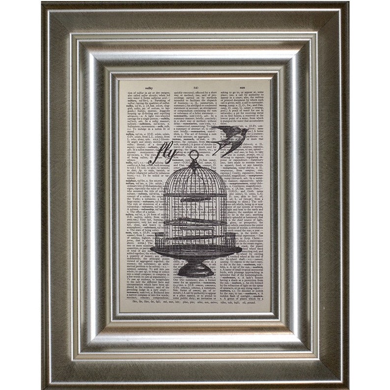 Birdcage Print on a Vintage Dictionary Page Etsy