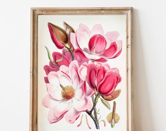 Vintage Pink Magnolia Light | Floral Art | Glasslion DIGITAL DOWNLOAD | Printable Art