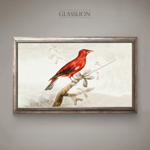 Samsung Frame TV Art Vintage Red Bird DIGITAL DOWNLOAD image 2