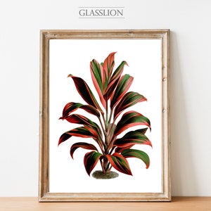 Dracaena Plant White | Floral Art | Plant Art | Glasslion DIGITAL DOWNLOAD | Printable Art