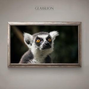 Samsung Frame TV Art Lemur Photo DIGITAL DOWNLOAD image 1