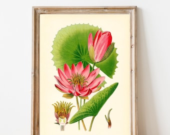 Egyptian Water Lily Light | Floral Art | Plant Art | Glasslion DIGITAL DOWNLOAD | Printable Art