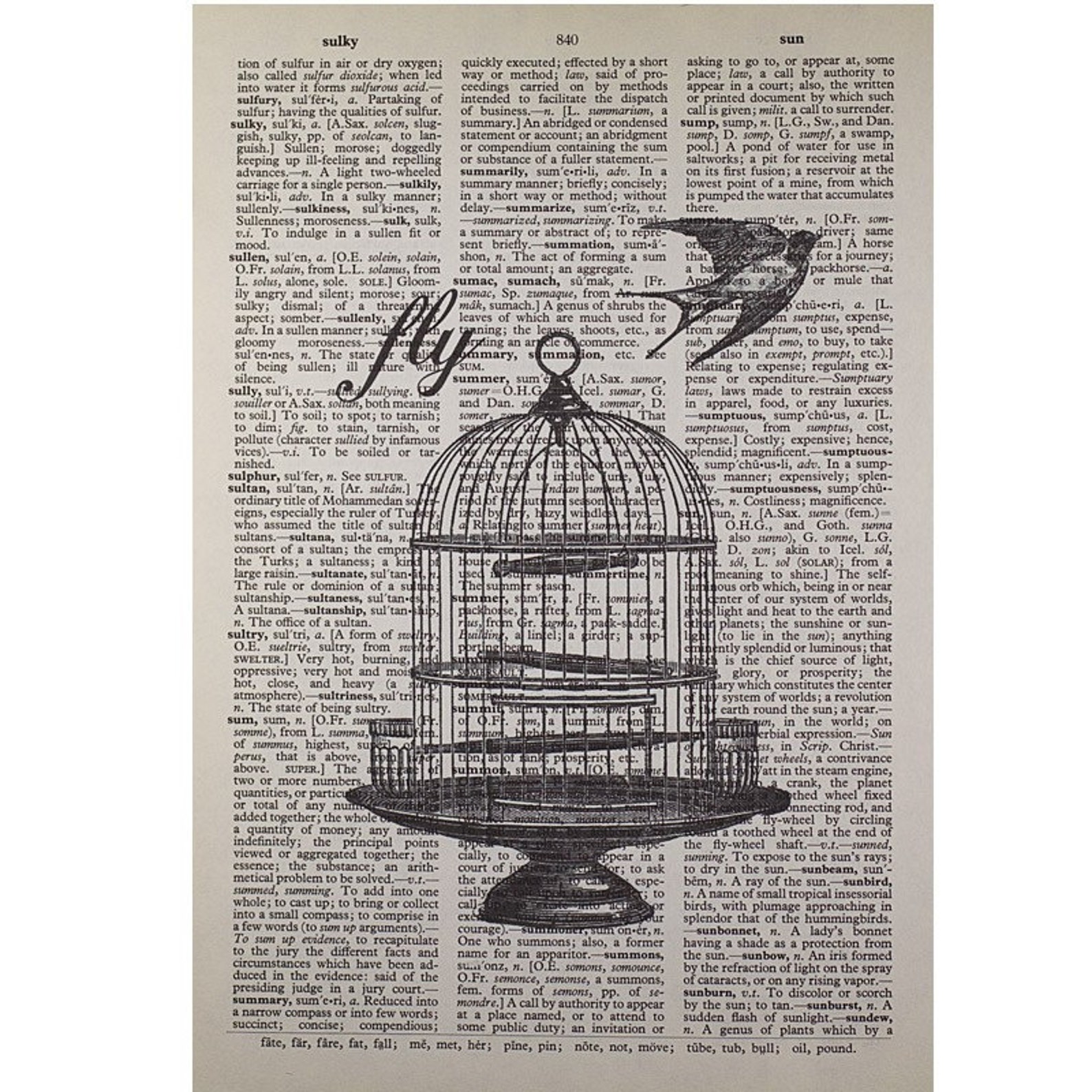 Birdcage Print on a Vintage Dictionary Page Etsy