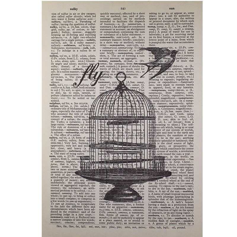 Birdcage Print on a Vintage Dictionary Page Etsy