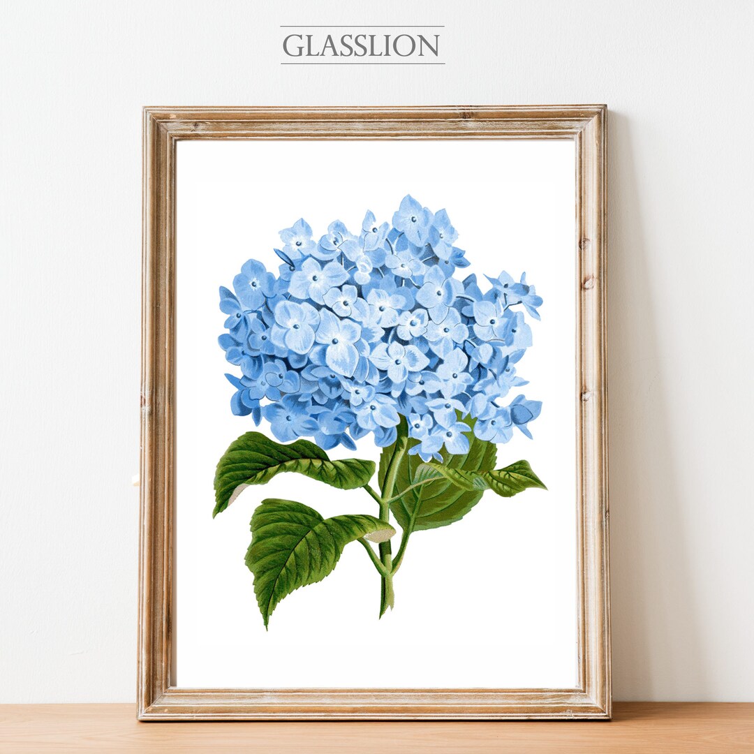 Romantic Blue Hydrangea | Floral Art | Glasslion DIGITAL DOWNLOAD ...
