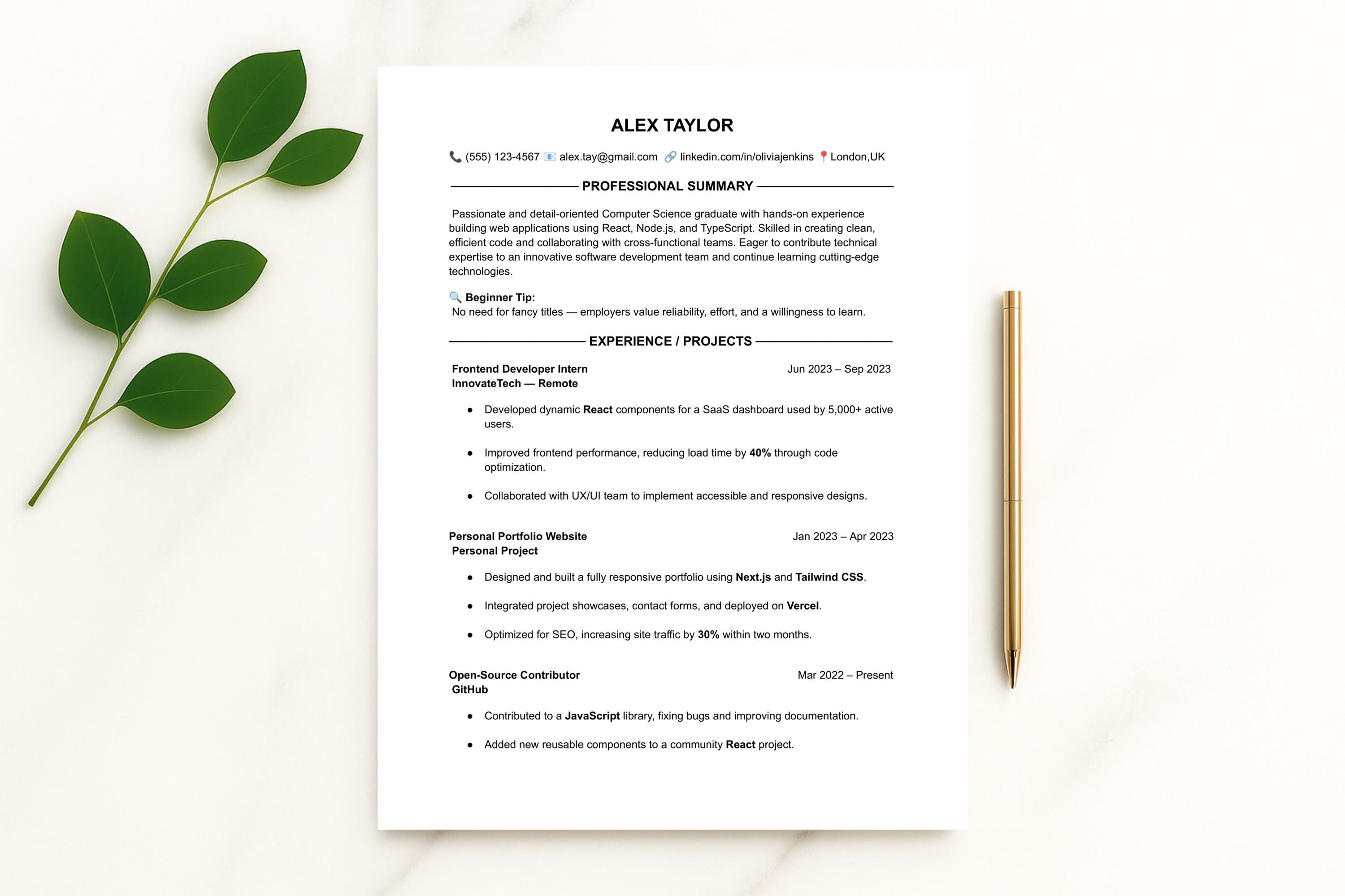 Ats-friendly Resume Template for Programmers: Modern 2-page CV (instant ...