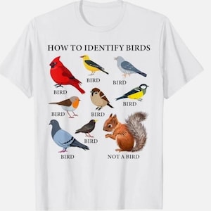 Pode incluir: Camiseta branca com o texto "HOW TO IDENTIFY BIRDS" e ilustrações coloridas de várias aves e um esquilo. Cada ave é rotulada como "BIRD", enquanto o esquilo é rotulado como "NOT A BIRD".