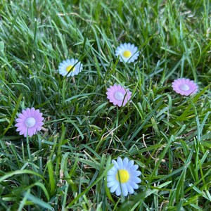 May include: A collection of small, flat, daisy-shaped embellishments scattered throughout green grass. The flowers feature petals in shades of light blue, lavender, and pink, each with a contrasting circular center in yellow or white.