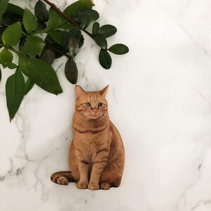 May include: A wooden cutout of a ginger tabby cat sitting upright. The cat has green eyes and brown stripes. Green leaves are in the upper left corner. The background is white with gray veining.