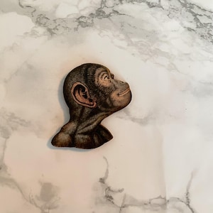 May include: A wooden chimpanzee head cutout, viewed in profile, with detailed shading and colouring. The chimpanzee is looking upwards with a slight smile. The cutout is brown and tan, with a detailed ear and facial features.