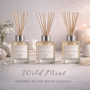 Wild Mint Reed Diffuser Refill 100ml | Sweet Herbal Scent| Long Lasting Diffuser Oil | Vegan