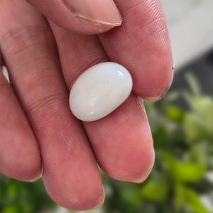 May include: A smooth, oval-shaped, white gemstone. The polished surface reflects light, showcasing a subtle sheen. The stone's form is reminiscent of a small, elongated pebble. The background is blurred, with hints of green foliage.