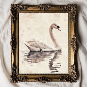 Vintage Bild für das Kinderzimmer, Schwan Bild (digitaler Download)