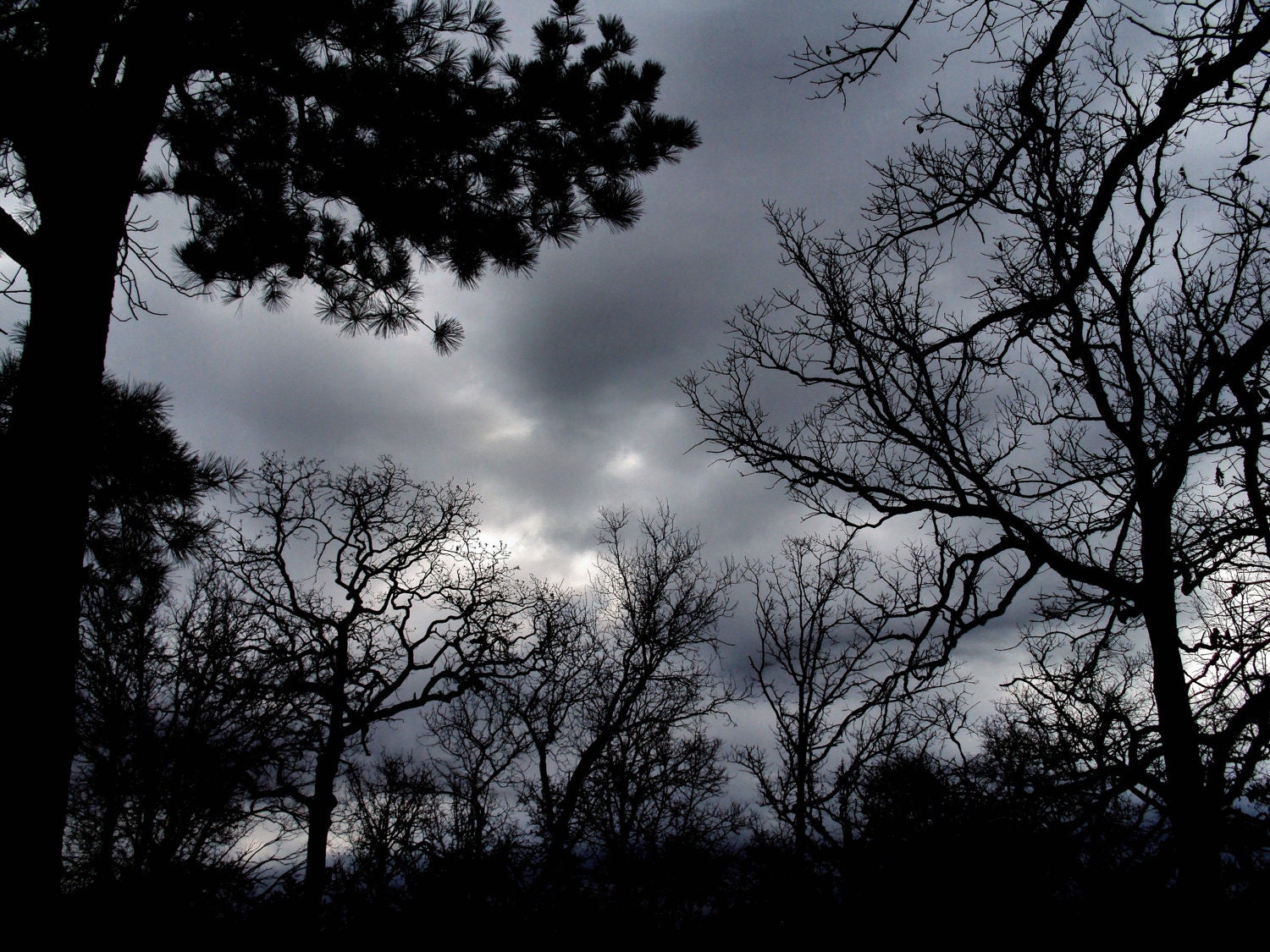 Stormy Weather / Cloudy Day / Storm Clouds / Winter Sky / 8 X 10