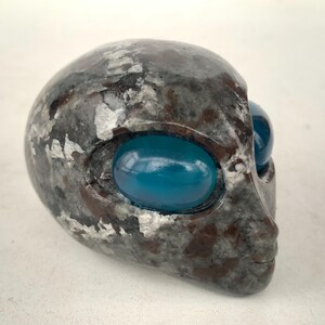 May include: A stone alien head sculpture with large, oval, blue eyes. The head is grey with brown and white flecks, and a smooth, polished finish. The sculpture has a detailed facial structure.