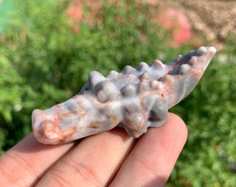 2.6"+ Natural grid stone,crocodile,Skull,Crystal crocodile,Aura crystal crocodile,Hand carving,Home decoration,Crystal gift 1PC