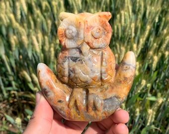 3.9"+ Natural crazy agate,Owl,Skull,Crystal owl skull,Hand carving,Home decoration,Crystal gift 1PC