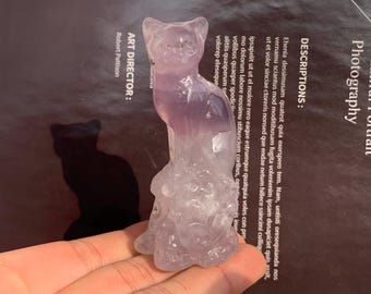 May include: A carved amethyst cat figurine. The cat is sitting upright with its ears perked up. The figurine is a gradient of purple and clear, and is held in a hand. The background is a dark surface with text.
