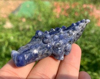 2.6"+ Natural sodalite quartz,crocodile,Skull,Crystal crocodile,Aura crystal crocodile,Hand carving,Home decoration,Crystal gift 1PC