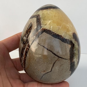 May include: A polished, egg-shaped stone with a mix of colours. The stone features a light tan base with dark brown and grey veining and patches. The egg is held in a hand, showcasing its smooth, rounded form and natural patterns.