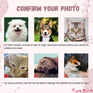 May include: An image with the text "CONFIRM YOUR PHOTO" and examples of pet photos. The image shows a Pomeranian, a Corgi, and a tabby cat with green check marks. Other photos of a cat, a dog, and a dog are marked with red X's. Text below says "For best results, choose a well-lit, high-resolution photo where your photo is visible and clear."