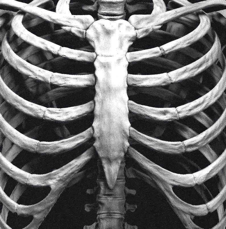Skeleton Rib Cage PNG, Halloween Anatomy Artwork, Gothic Bones ...