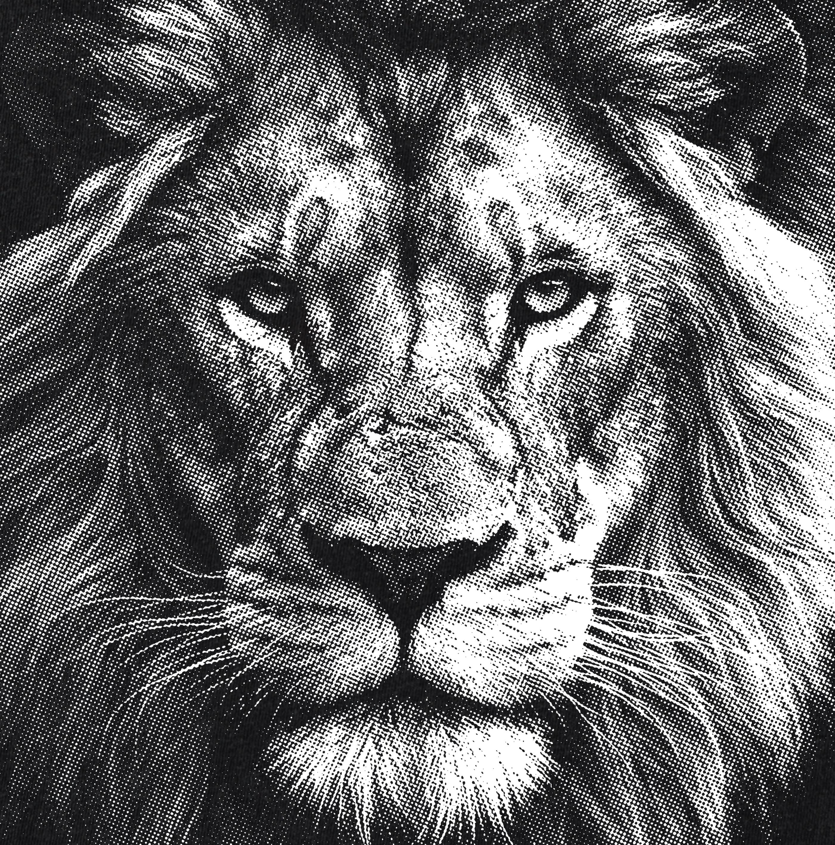 Lion Head PNG, Vintage Halftone Lion Portrait, Realistic Wildlife
