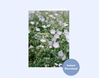 Sympathy Printable Card, Nemophila Flower Photo Condolence Greeting Card, Holding You In Thoughts Note, Instant Digital Download