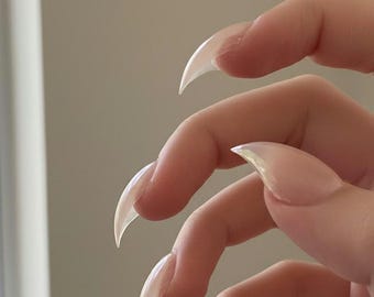 Handmade Dragon Claw Press On Nails: Cat Claw Acrylic Set
